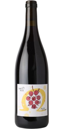 Moritz Kissinger, 0 Ohm Rot Pinot Noir 2023 wine bottle