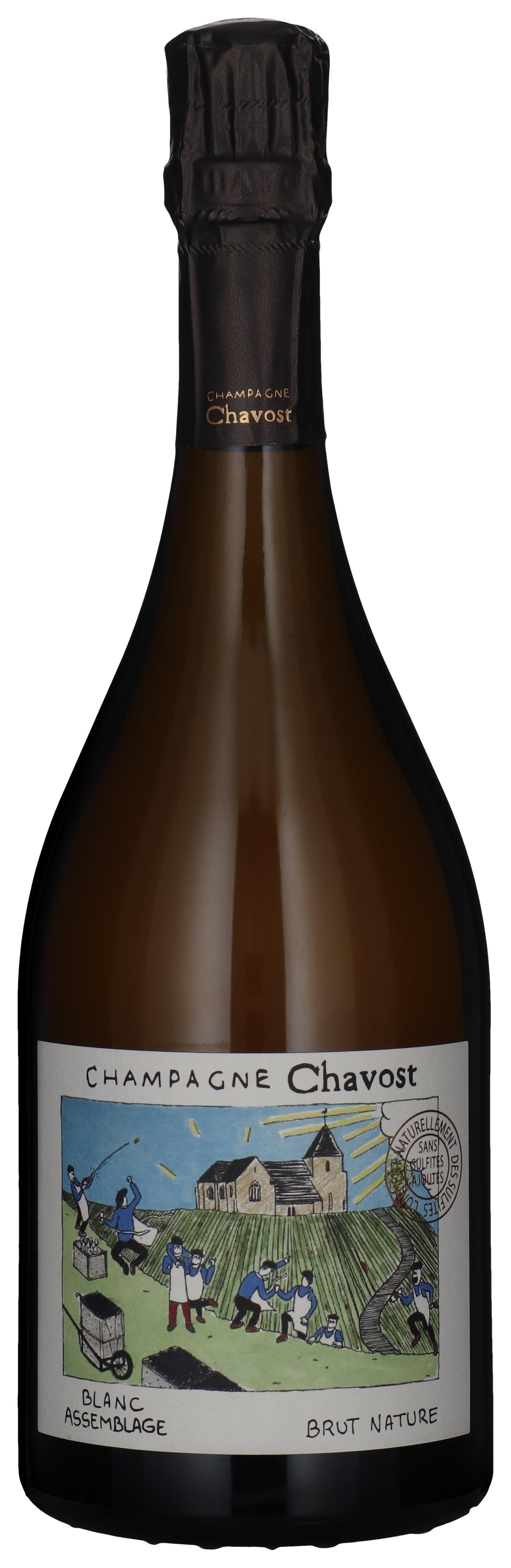 Blanc Assemblage - Brut Nature 2022 wine bottle