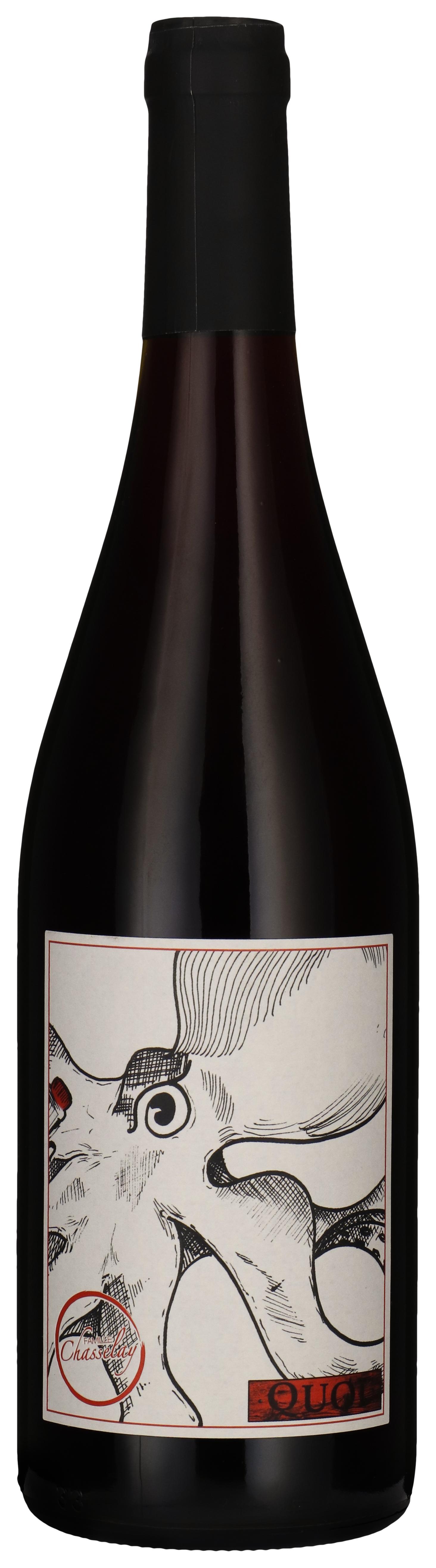 Gamay - Pour Quoi Pas 2024 wine bottle