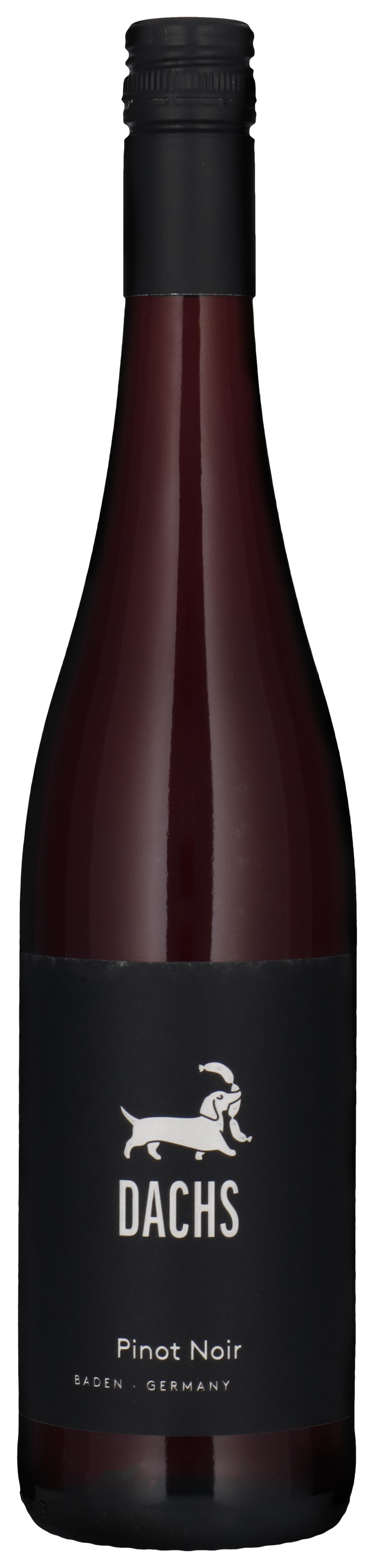 Pinot Noir 2024 wine bottle