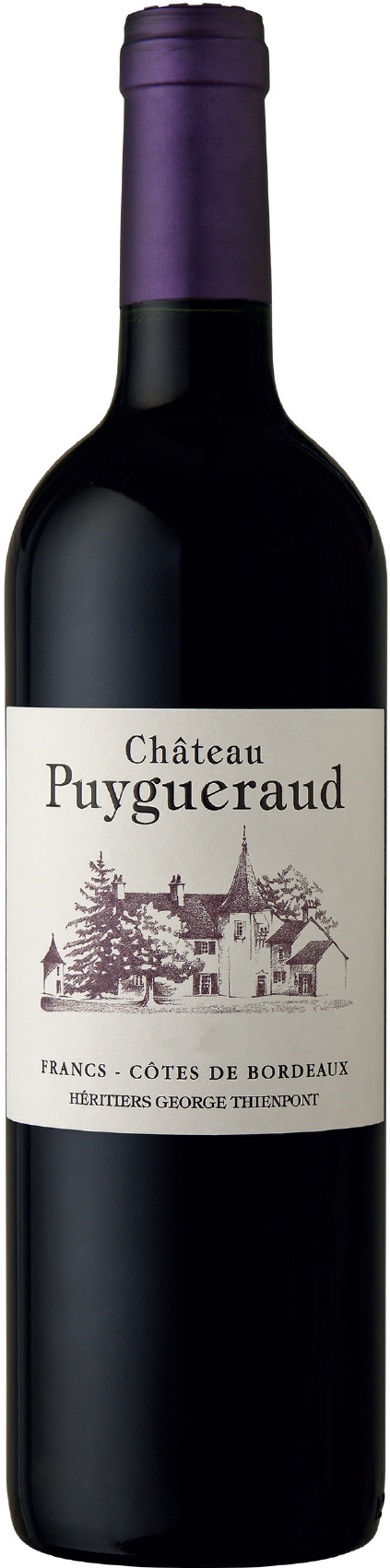 Château Puygueraud 2015 wine bottle