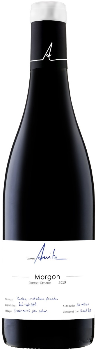 Domaine Anita Morgon Château-Gaillard 2019 wine bottle