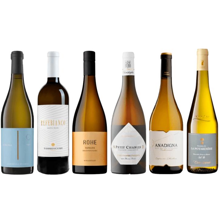 Luksus Hvidvinssmagekasse wine bottle