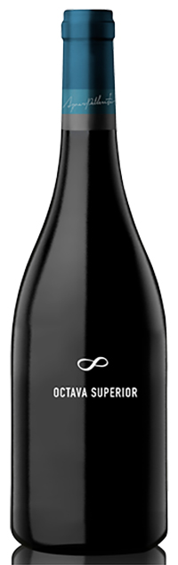 Abremundos Octava Superior 2013 wine bottle