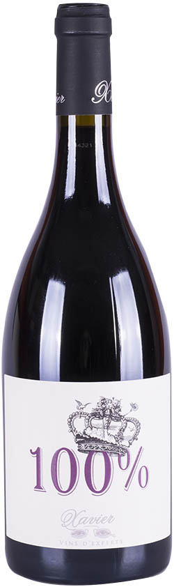 Xavier Cotes du Rhone 100% 2016 wine bottle