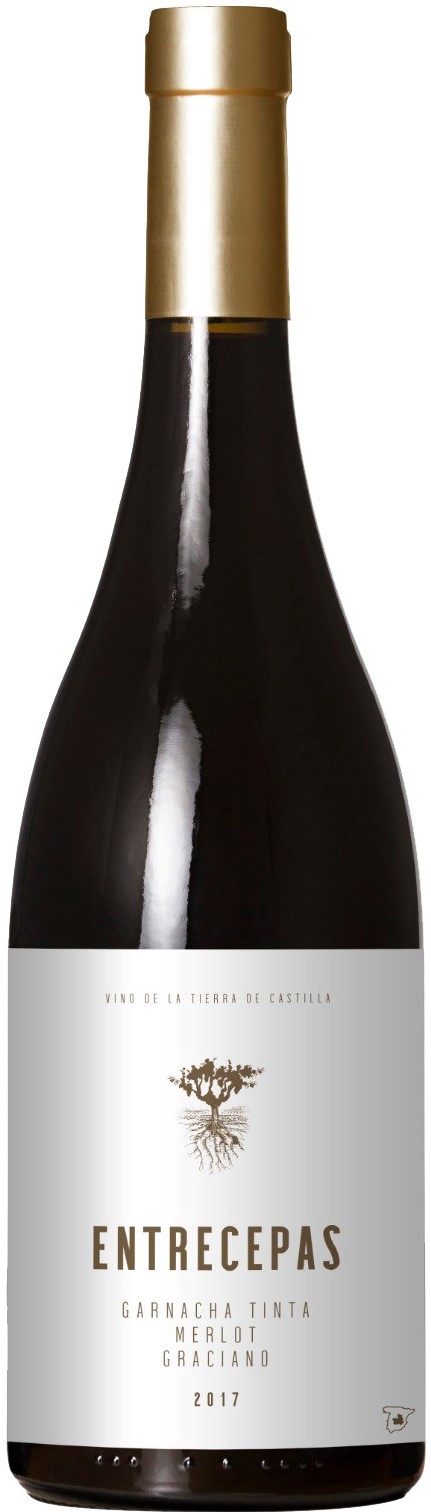Entrecepas Tinto 2017 wine bottle