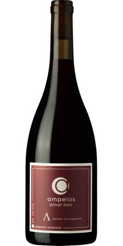 Ampelos, Pinot Noir Lambda 2020 wine bottle
