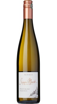 Pinot Blanc  2023 wine bottle