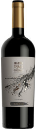 Clos de Luz `Massal 1945` Carmenere` 2019 wine bottle