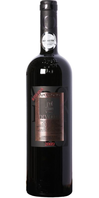 Apollonio, Copertino Riserva, Divoto 2013 wine bottle