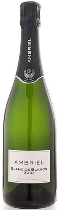 Ambriel Blanc de Blancs Brut 2010 wine bottle