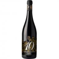 Nero di Troia wine bottle