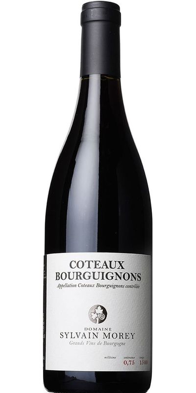 Sylvain Morey, Coteaux Bourguignons 2019 wine bottle
