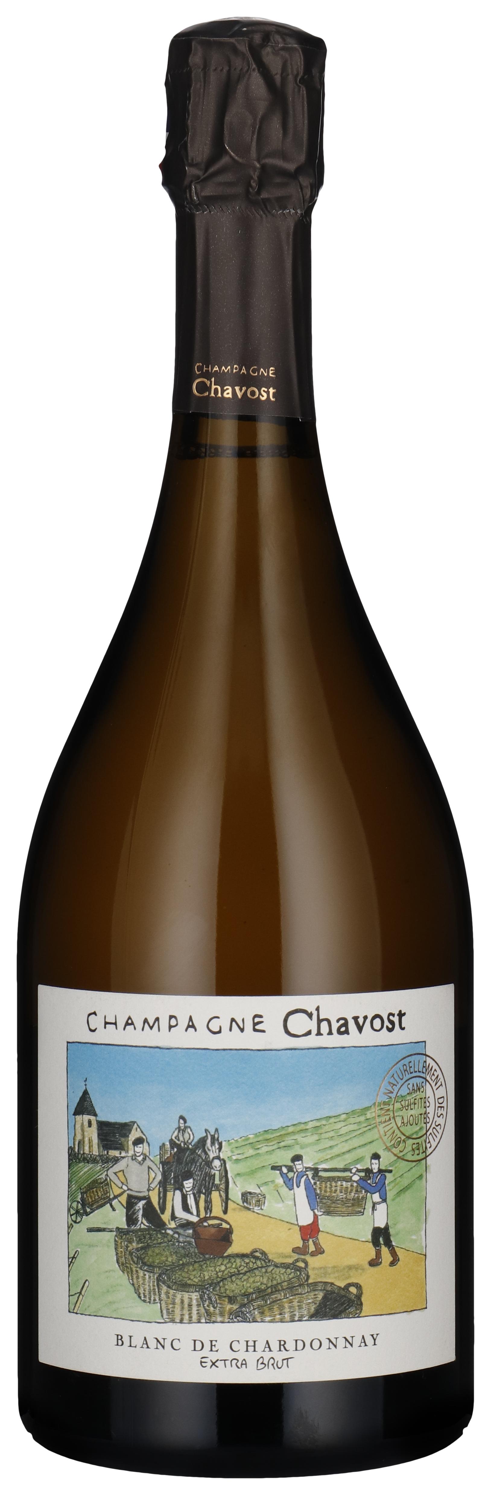 Blanc de Chardonnay - Brut Nature 2023 wine bottle