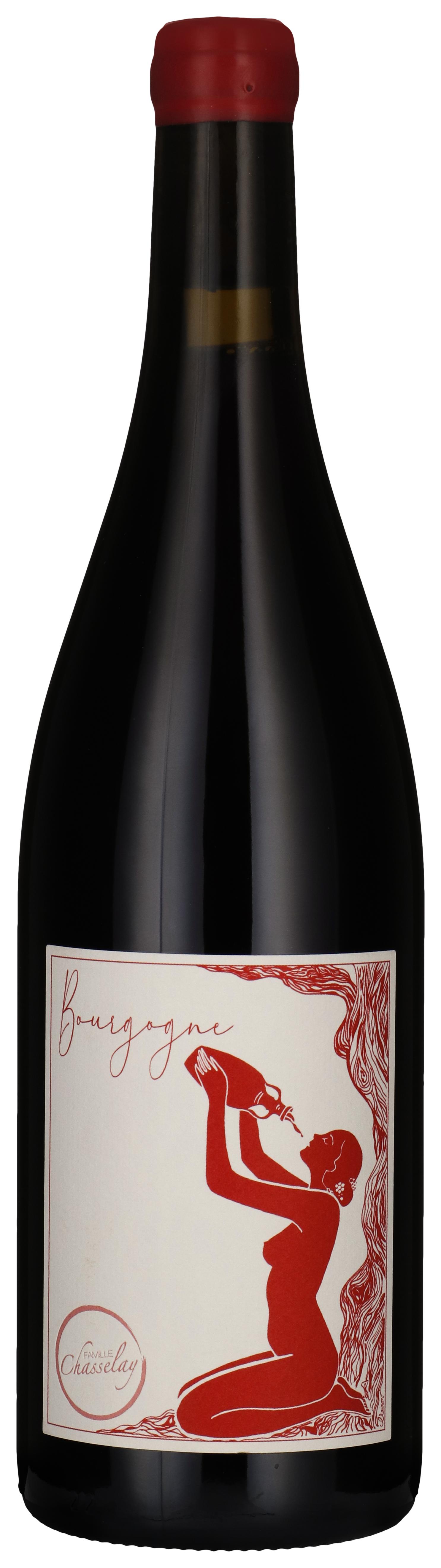Bourgogne Pinot Noir 2023 wine bottle