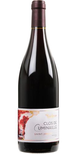 Domaine Pierre Gaillard, Saint-Joseph Clos de Cuminaille 2021 wine bottle