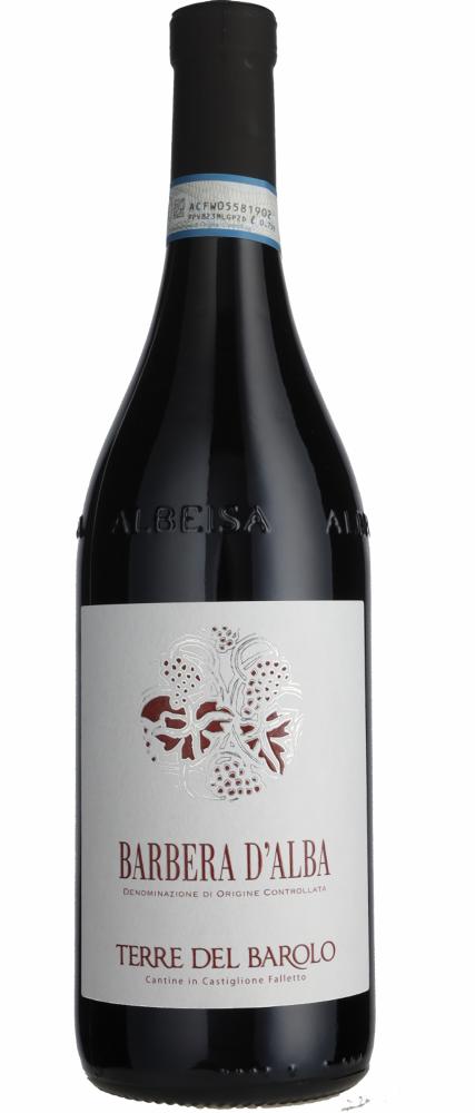2022 Barbera d'Alba Cantina Terre del Barolo wine bottle
