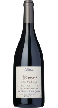 Morgon, Bellevue Sable  2023 wine bottle