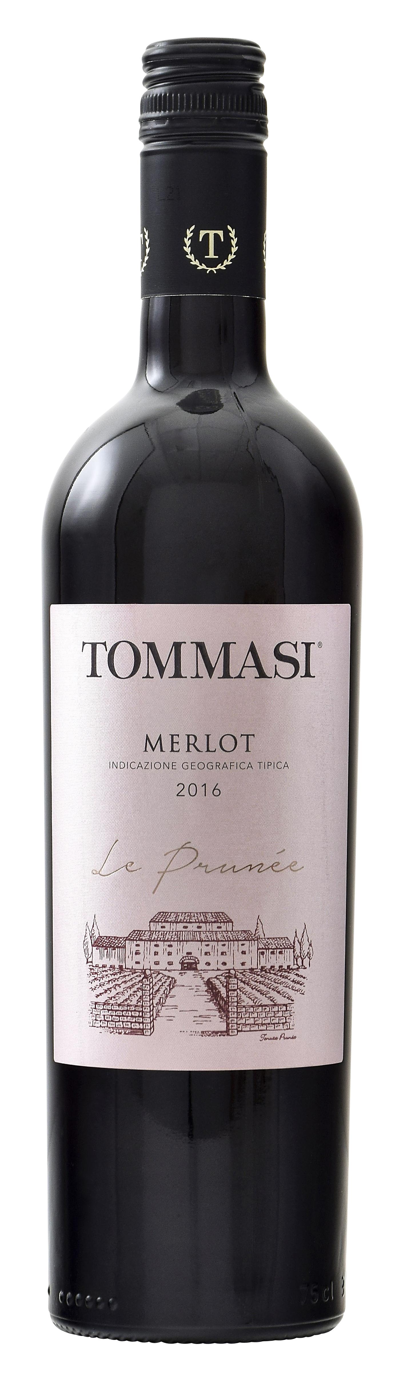 Merlot - Le Prunée 2021 wine bottle