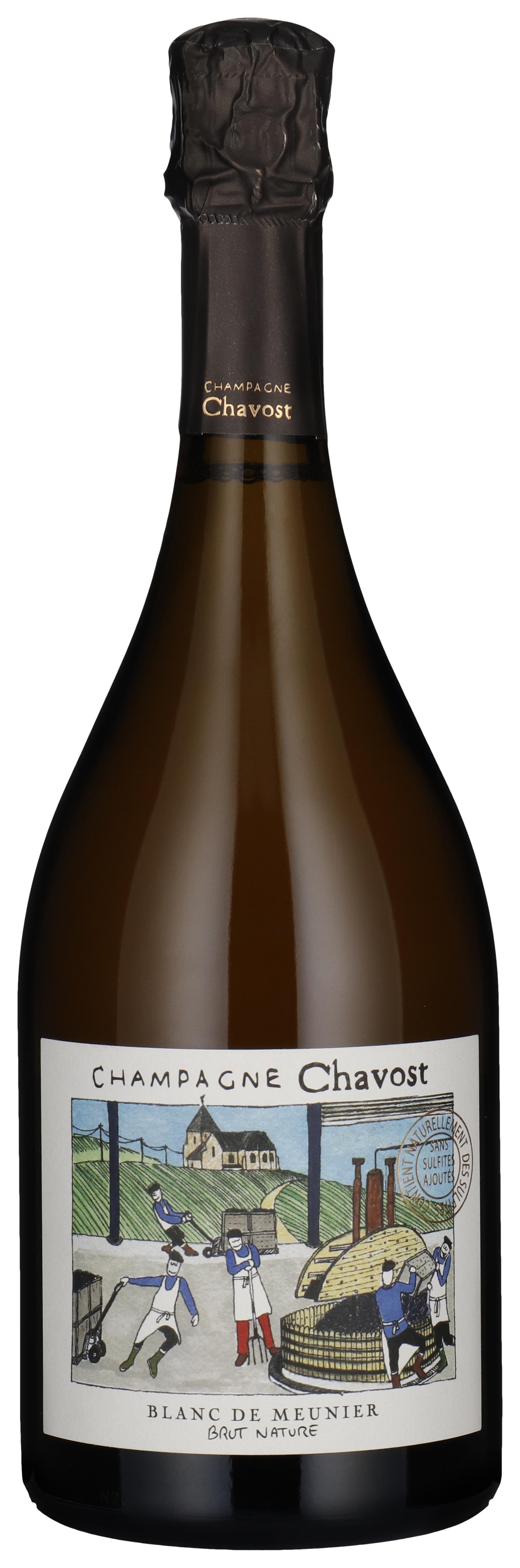 Blanc de Meunier - Brut Nature 2023 wine bottle