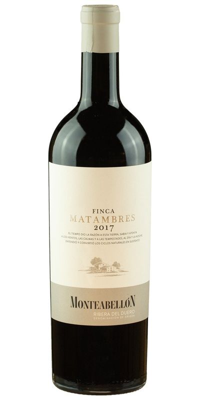 Monteabellon, Finca Matambres 2020 wine bottle