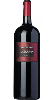 Ribera del Duero, La Planta, magnum  2019 wine bottle
