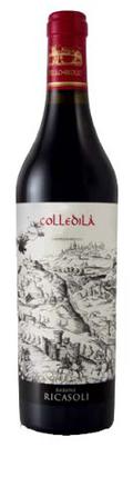 Colledila 2010 wine bottle
