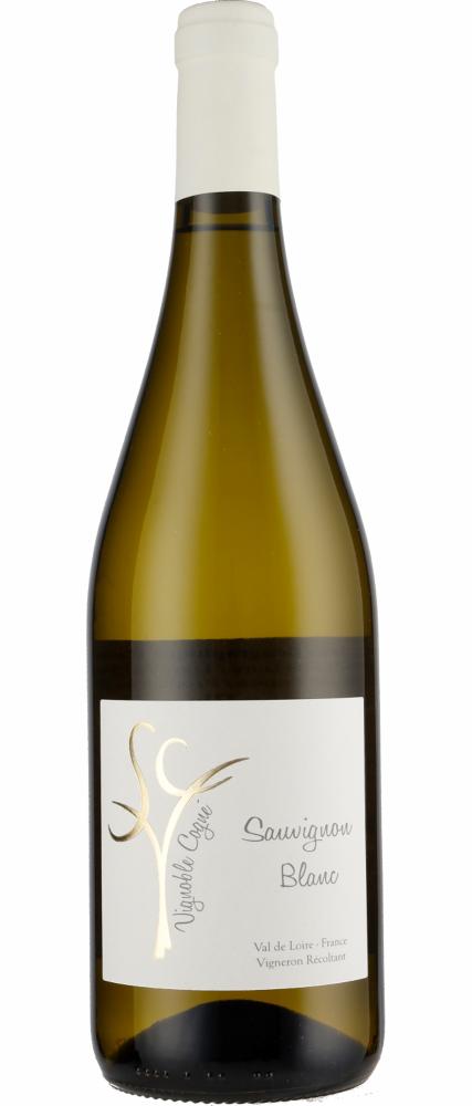 2024 Sauvignon Blanc IGP Loire Domaine Vignoble Cogné wine bottle