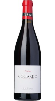 Goliardo Caíño  2022 wine bottle