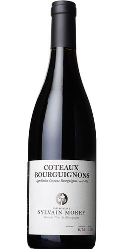 Sylvain Morey, Coteaux Bourguignons 2019 wine bottle