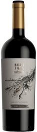 Clos de Luz `Massal 1945` Cabernet Sauvignon 2019 wine bottle