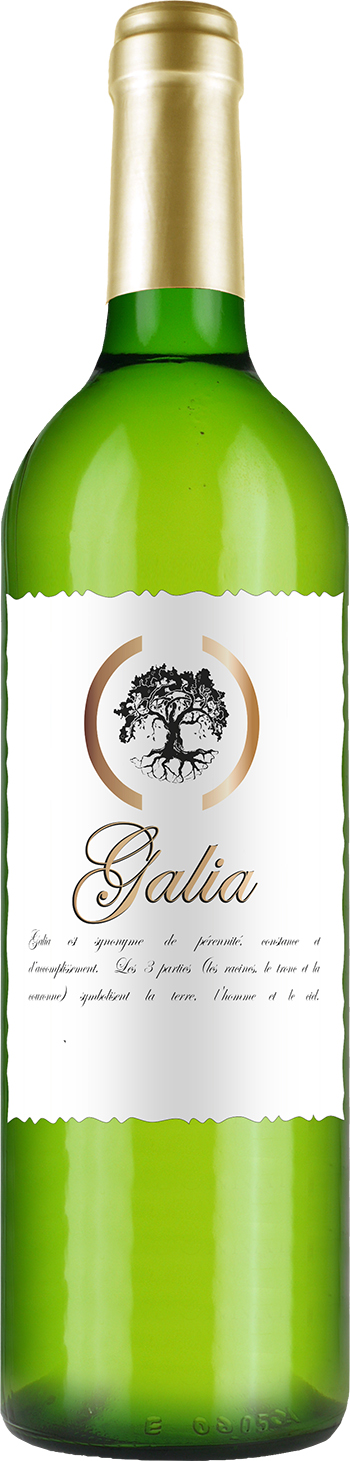 Galia Blanc vin de france 2020 wine bottle