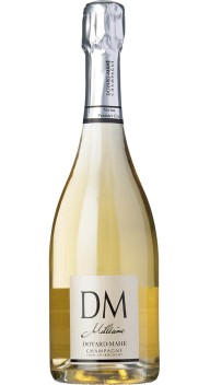 Champagne Millésime Brut  2013 wine bottle