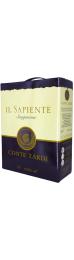 Conte Zardi Il Sapiente Rubicone 2022 Bag in Box 3L wine bottle