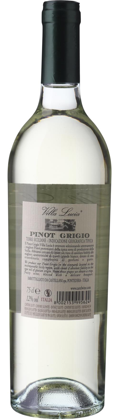 Castellani Villa Lucia Pinot Grigio wine bottle