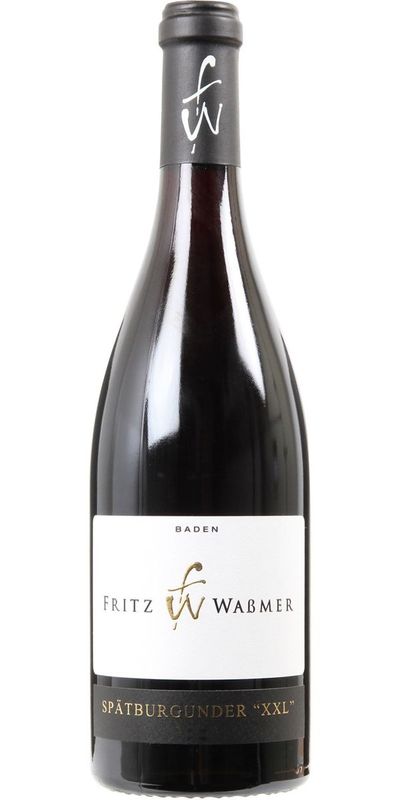 Weingut Fritz Wassmer, Spätburgunder XXL - Baden 2021 wine bottle