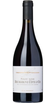 Bourgogne Côte d'Or Pinot Noir  2022 wine bottle