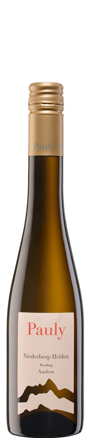 Axel Pauly Niederberg-Helden Auslese Riesling 2019 - 37,5 cl. wine bottle