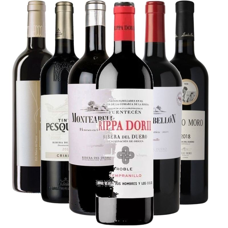 Smagekasse - Top 6 Ribera Del Duero wine bottle