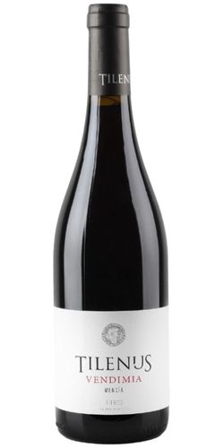 Bodegas Estefania Tilenus, Vendimia Bierzo 2024 wine bottle