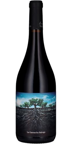 Proyecto Garnachas de España, Salvaje del Moncayo, Aragon 2021 wine bottle