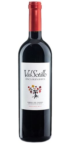 Valsotillo Finca Buenavista Ribera del Duero 2018 wine bottle