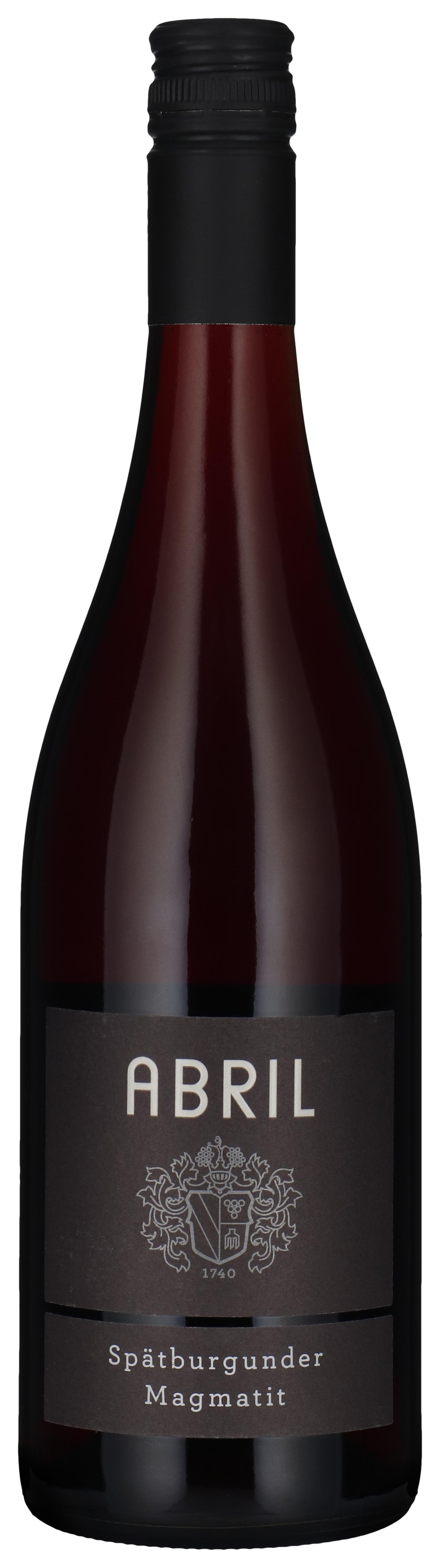 Spätburgunder Magmatit - Stein 2022 wine bottle