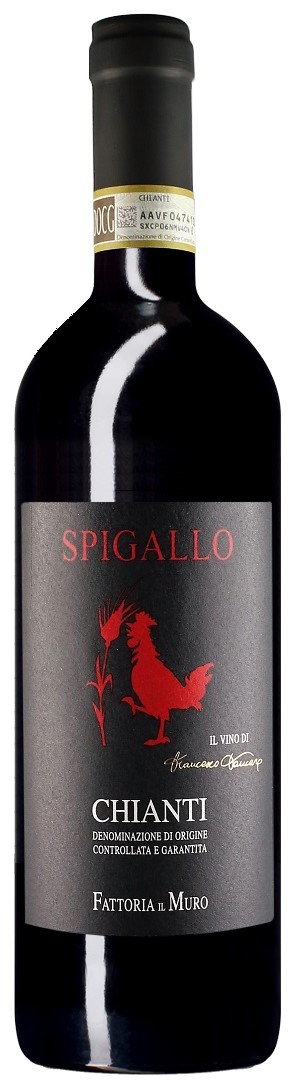 Fatt. Ilmuro Chianti DOCG Spigallo 2015 wine bottle