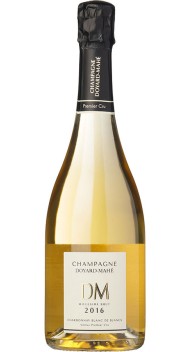 Champagne Millésime Brut  2016 wine bottle