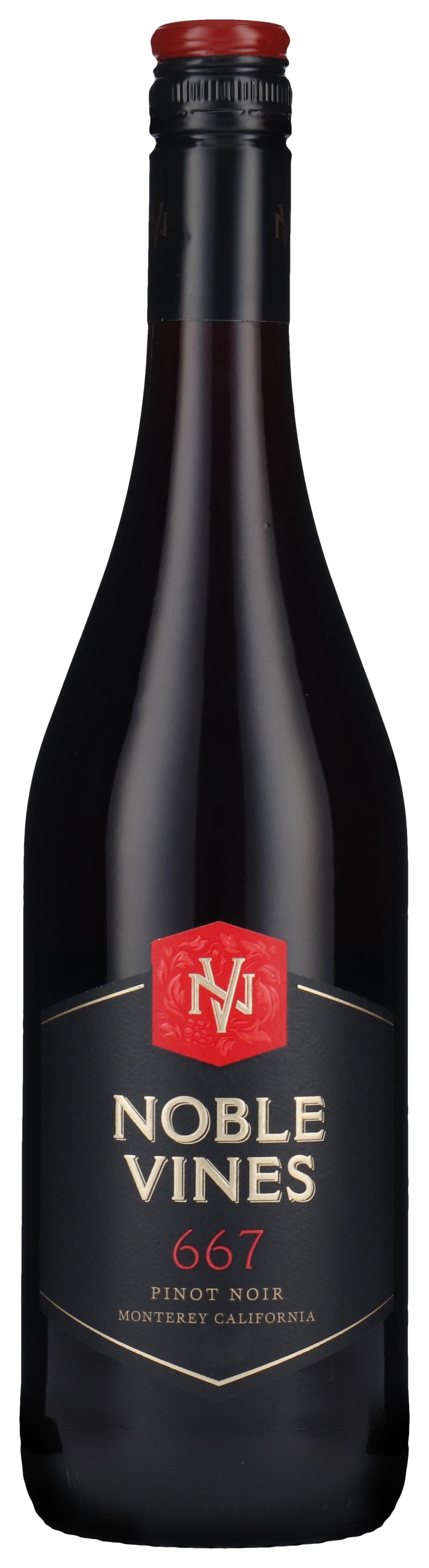 Pinot Noir - 667 2022 wine bottle