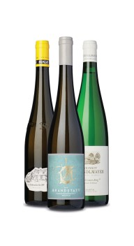 Grüner Veltliner, Erste Lage-tema (Vin for Begyndere) wine bottle