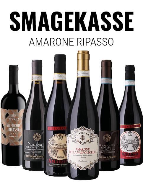Amarone Ripasso Smagekasse wine bottle