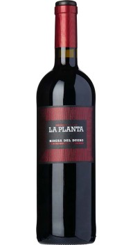 Ribera del Duero, La Planta  2023 wine bottle