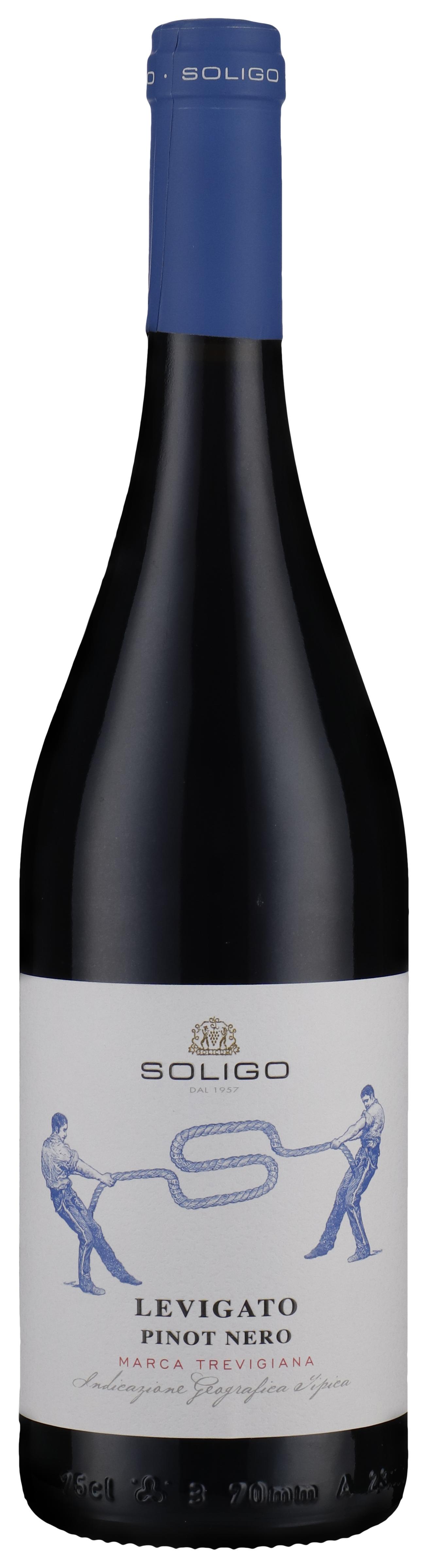 Pinot Noir, Levigato 2025 wine bottle